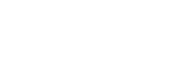 Evolution Gaming logo